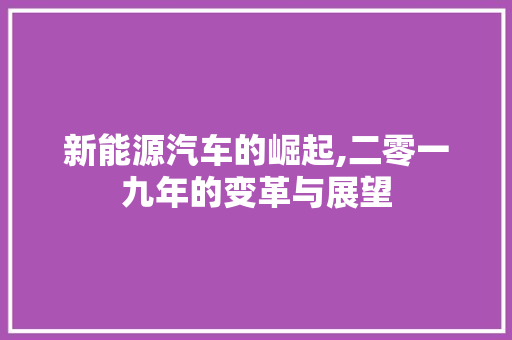 新能源汽车的崛起,二零一九年的变革与展望