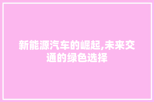 新能源汽车的崛起,未来交通的绿色选择