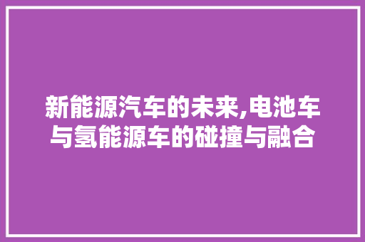 新能源汽车的未来,电池车与氢能源车的碰撞与融合