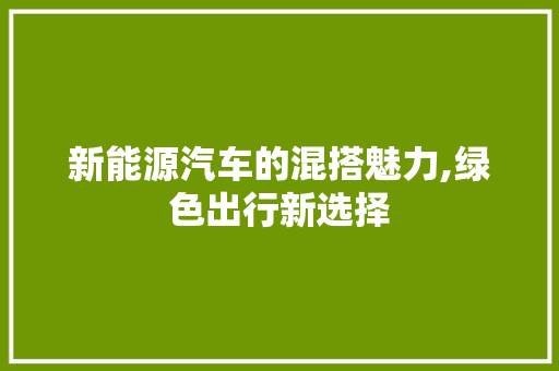 新能源汽车的混搭魅力,绿色出行新选择