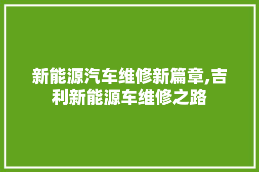 新能源汽车维修新篇章,吉利新能源车维修之路  第1张