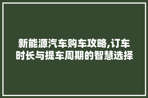 新能源汽车购车攻略,订车时长与提车周期的智慧选择