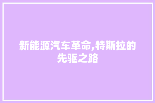 新能源汽车革命,特斯拉的先驱之路