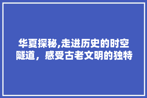 华夏探秘,走进历史的时空隧道，感受古老文明的独特魅力