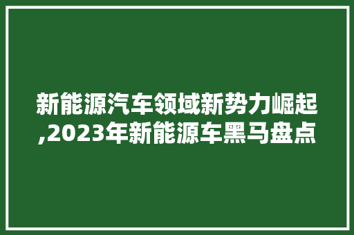 新能源汽车领域新势力崛起,2023年新能源车黑马盘点及展望