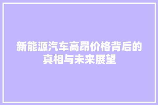 新能源汽车高昂价格背后的真相与未来展望