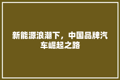 新能源浪潮下，中国品牌汽车崛起之路