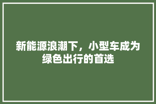 新能源浪潮下，小型车成为绿色出行的首选  第1张