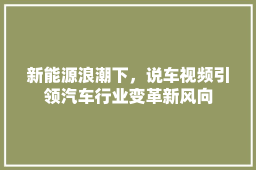 新能源浪潮下，说车视频引领汽车行业变革新风向