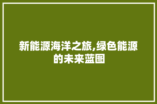 新能源海洋之旅,绿色能源的未来蓝图