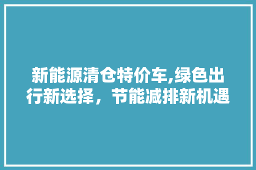 新能源清仓特价车,绿色出行新选择，节能减排新机遇