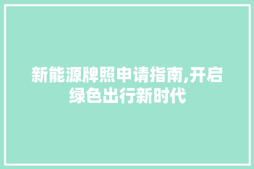 新能源牌照申请指南,开启绿色出行新时代  第1张