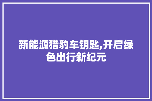 新能源猎豹车钥匙,开启绿色出行新纪元