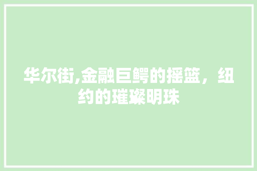 华尔街,金融巨鳄的摇篮，纽约的璀璨明珠