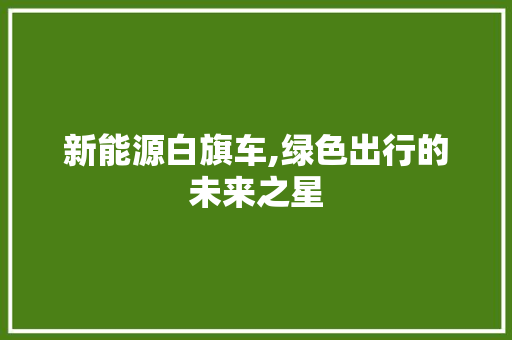 新能源白旗车,绿色出行的未来之星