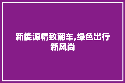 新能源精致潮车,绿色出行新风尚