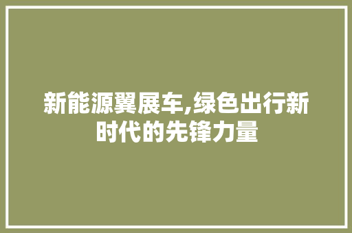 新能源翼展车,绿色出行新时代的先锋力量