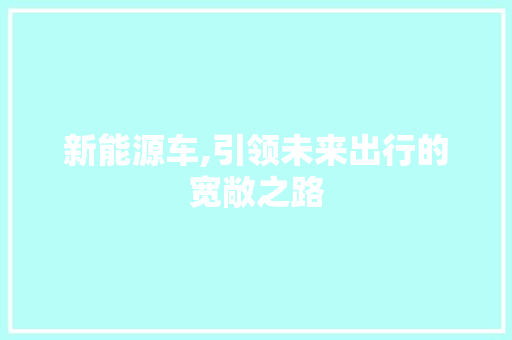 新能源车,引领未来出行的宽敞之路