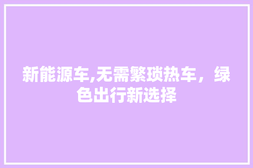 新能源车,无需繁琐热车，绿色出行新选择