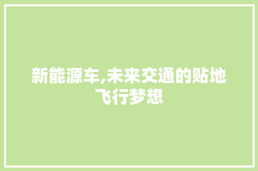 新能源车,未来交通的贴地飞行梦想