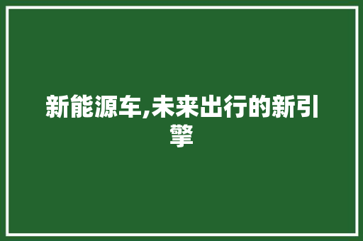 新能源车,未来出行的新引擎