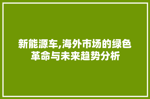 新能源车,海外市场的绿色革命与未来趋势分析