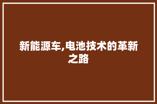 新能源车,电池技术的革新之路