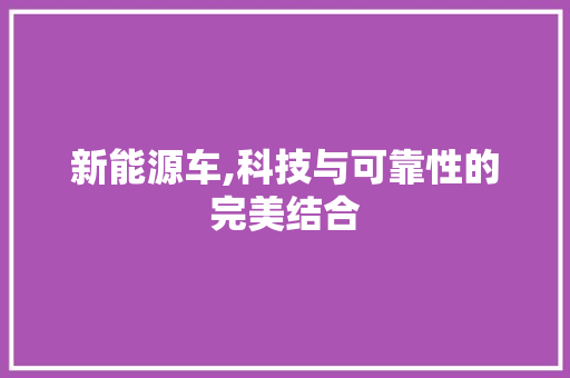 新能源车,科技与可靠性的完美结合