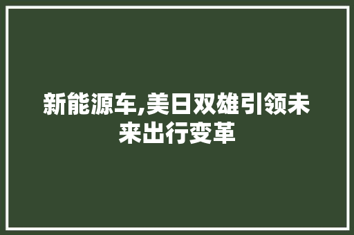 新能源车,美日双雄引领未来出行变革