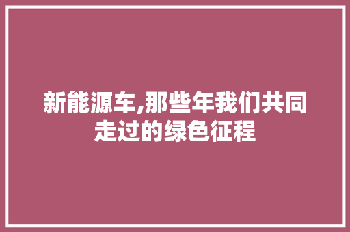 新能源车,那些年我们共同走过的绿色征程