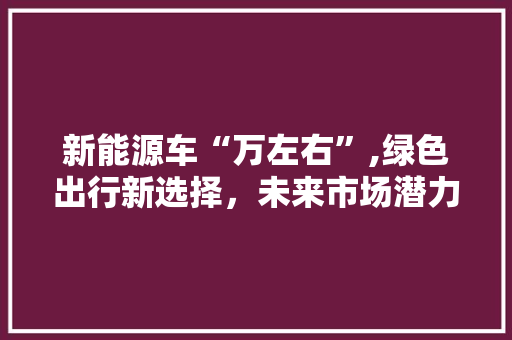 新能源车“万左右”,绿色出行新选择，未来市场潜力巨大