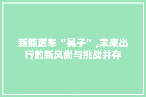 新能源车“晃子”,未来出行的新风尚与挑战并存