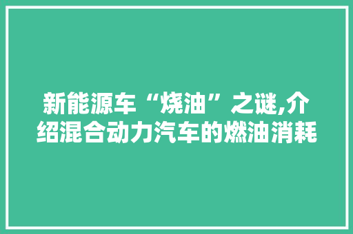 新能源车“烧油”之谜,介绍混合动力汽车的燃油消耗之谜