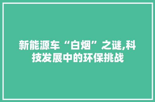 新能源车“白烟”之谜,科技发展中的环保挑战