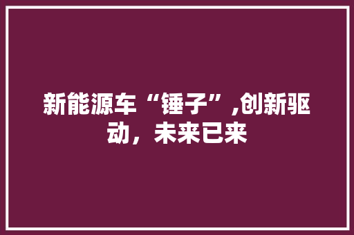 新能源车“锤子”,创新驱动，未来已来