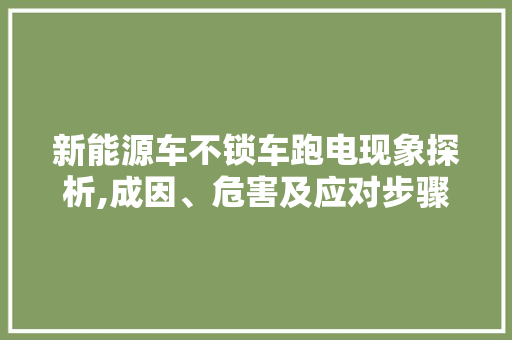 新能源车不锁车跑电现象探析,成因、危害及应对步骤