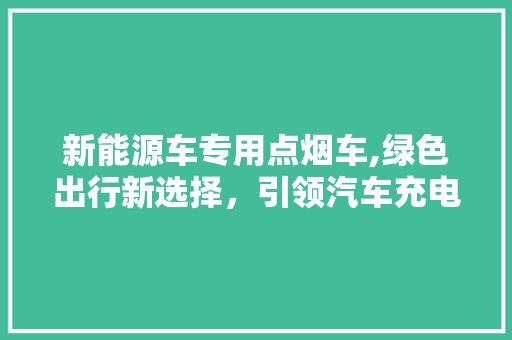 新能源车专用点烟车,绿色出行新选择，引领汽车充电革命  第1张