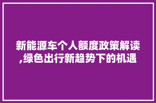 新能源车个人额度政策解读,绿色出行新趋势下的机遇与挑战