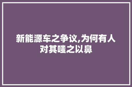 新能源车之争议,为何有人对其嗤之以鼻