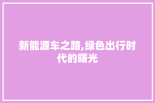 新能源车之路,绿色出行时代的曙光