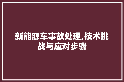 新能源车事故处理,技术挑战与应对步骤