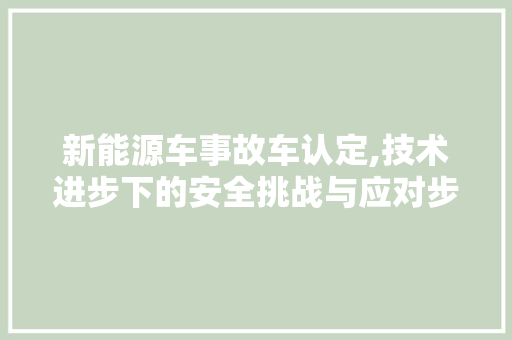 新能源车事故车认定,技术进步下的安全挑战与应对步骤