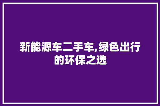 新能源车二手车,绿色出行的环保之选