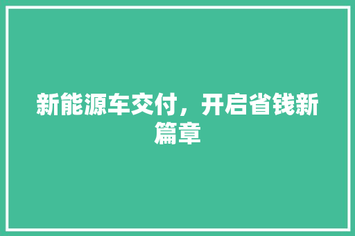 新能源车交付，开启省钱新篇章