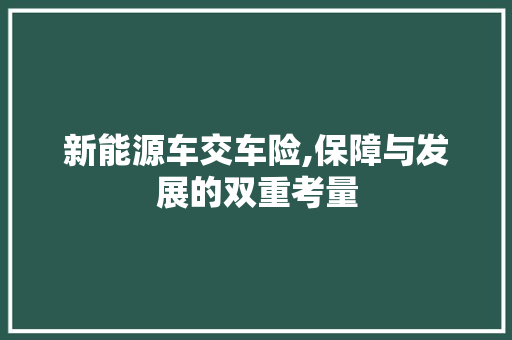 新能源车交车险,保障与发展的双重考量