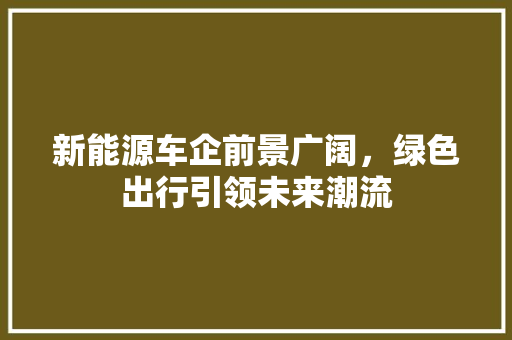 新能源车企前景广阔，绿色出行引领未来潮流