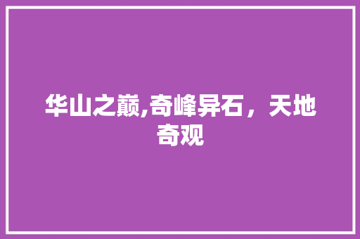 华山之巅,奇峰异石，天地奇观