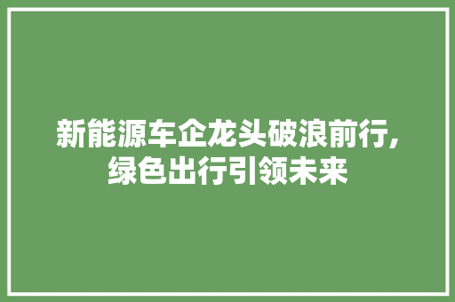 新能源车企龙头破浪前行,绿色出行引领未来