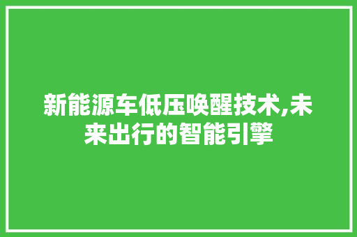 新能源车低压唤醒技术,未来出行的智能引擎