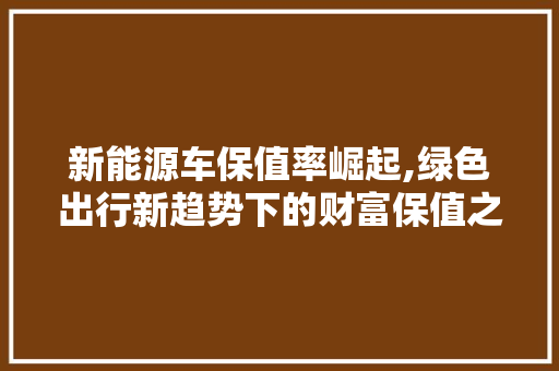 新能源车保值率崛起,绿色出行新趋势下的财富保值之路